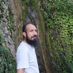 Syed Habib