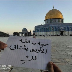 HabibaKhateeb