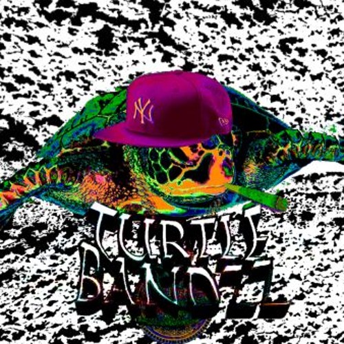 Stream TurtleBandzz music | Listen to songs, albums, playlists for free ...