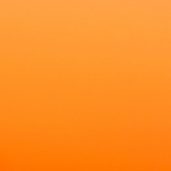 moron_n1