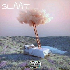 slimexx