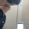 정진모