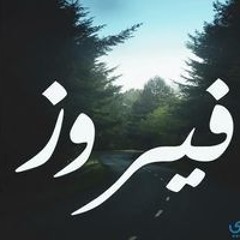 Fatima Elmogy