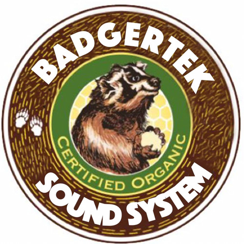 BADGERTEK_soundsystem’s avatar