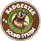BADGERTEK_soundsystem
