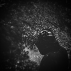 ATRIBECALLEDBLSD