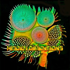 Hidden Dimensions