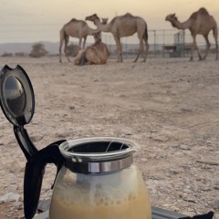 مــحــمــد 🤩🤍