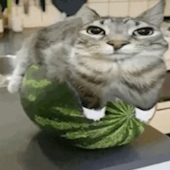Patrickleanbeef