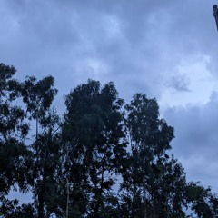 Dương