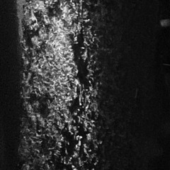 Glitterstorm (Amygdala Rage Remix)