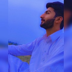 Malik Asad