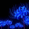 BlueAO