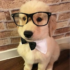 #ошибка