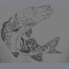 Stalyu
