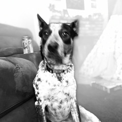 Shit! Captain! Music