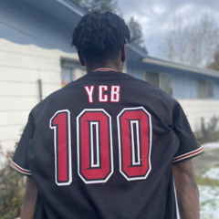 YCB Duke