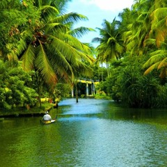 Bijibose