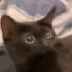 marvin_demon666
