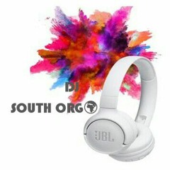 SOUTH ORG🌍