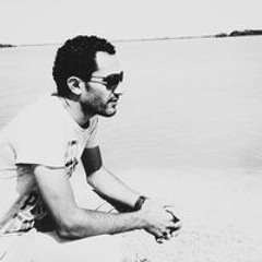 Ehab M Nassif