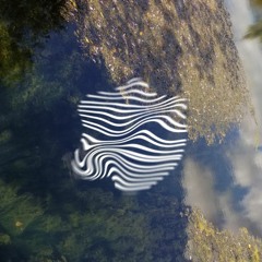 Fluid Ecotonalism