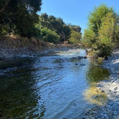 نور