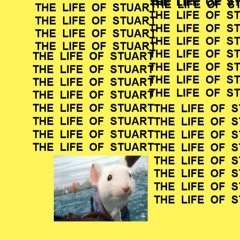 Lil Stuart Little