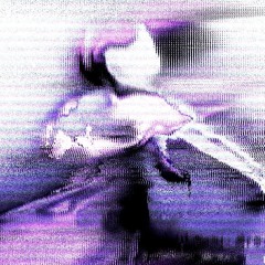 HOLOGRAMA TRASH