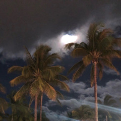 Night’s sky7
