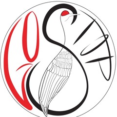 Spooky Halloween DNB Set