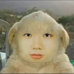 솧