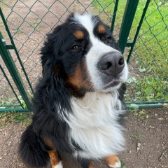 KARU