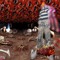 paper256P̵̨̼̺̯̮͇̾͜AP̸̨̢̥͎̱̂͌̏̔E̷̡͉̝͑Ṛ̷̆͐̾̅́̕)XX
