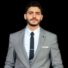 Mostafa S. Bahnasi