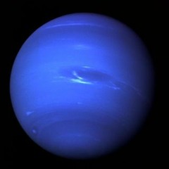 Neptune'sRoxie
