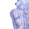 cold:prism
