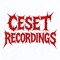 CESET RECORDINGS