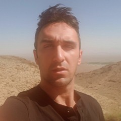 omid baghbani