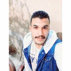 محمود الحسنات
