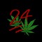 MARVIN24