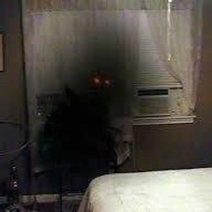BLOODNBILE