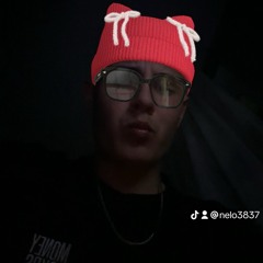 Rybi