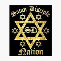 BlakSearpentIGSD69St 974