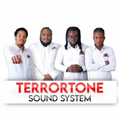 TERRORTONE SOUND SYSTEM