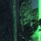 Verdant