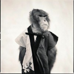Computer Monkey