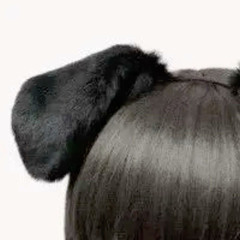 leiibwaee
