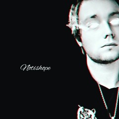 Seth Roche (notishope)