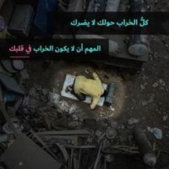 عمرو بسام